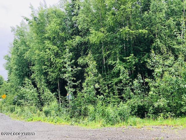 37095 Birkenweg Street, Soldotna, Alaska image 3