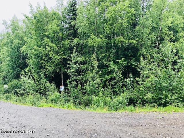 37095 Birkenweg Street, Soldotna, Alaska image 1
