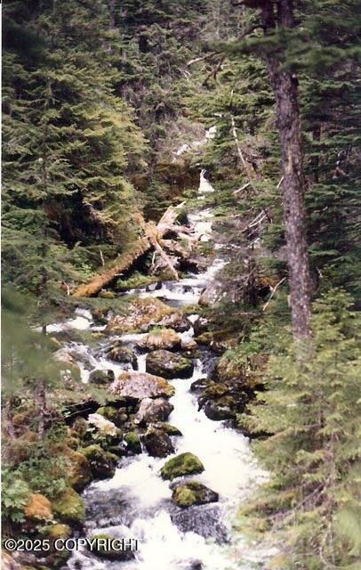 90-111 Tr A No Rd Whidbey Bay, Seward, Alaska image 1