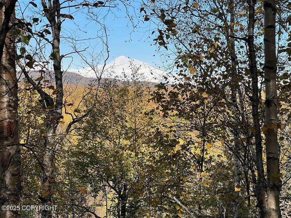 27460 S Baldy Bluff Drive, Talkeetna, Alaska image 1