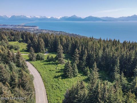 Homes For Sale - 000 Highland Drive<br/> Homer, AK 99603