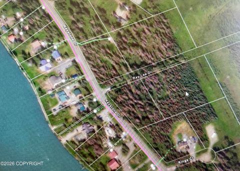 Vacant Land For Sale - 41403 Ray Lee Drive<br/> Soldotna, AK 99669
