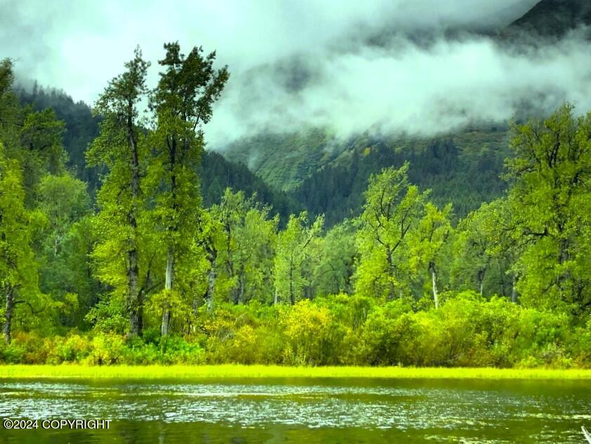 L13 B8 N Chilkat Lake Ln, Haines, Alaska image 31