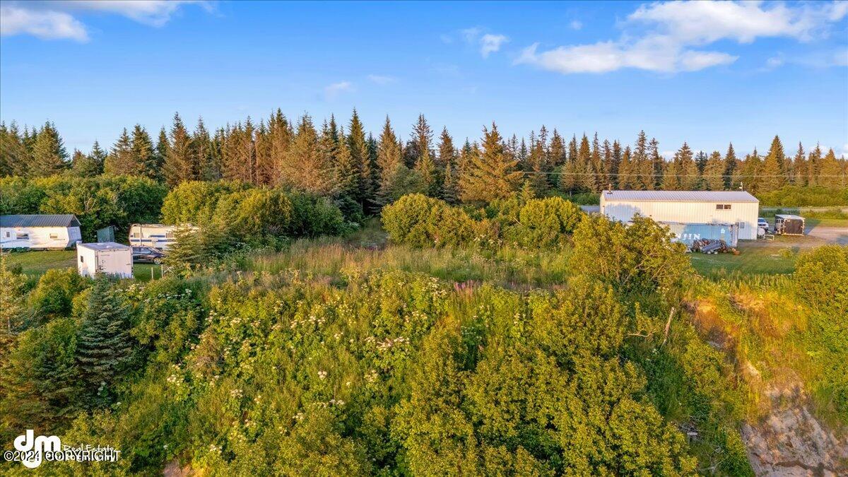 30035 Sterling Highway, Anchor Point, Alaska image 21