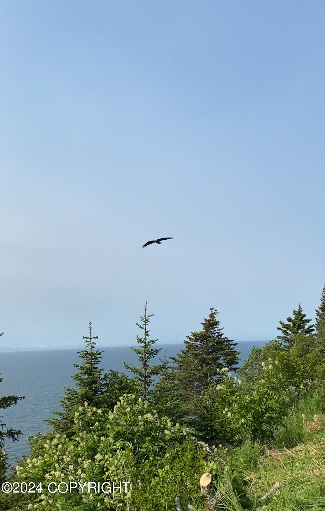 30035 Sterling Highway, Anchor Point, Alaska image 36