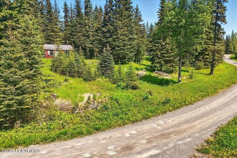 Homes For Sale - 67290 Kiana Drive<br/> Ninilchik, AK 99639