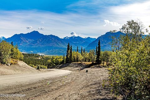 Photo of 33739 W Arnica Avenue, Chickaloon, AK 99674 (MLS # 26-3658)