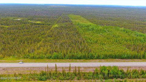 Homes For Sale - W0.5 OF L1 Glenn Highway<br/> Glennallen, AK 99588