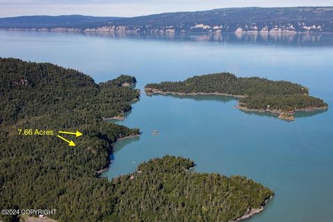 Vacant Land For Sale - SW Bear Cove Lot B<br/> Homer, AK 99603