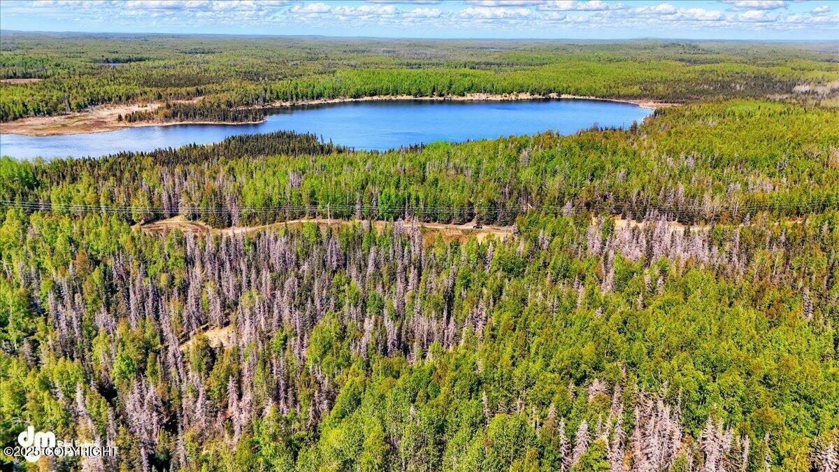 L15 Moosetadon Drive, Sterling, Alaska image 7