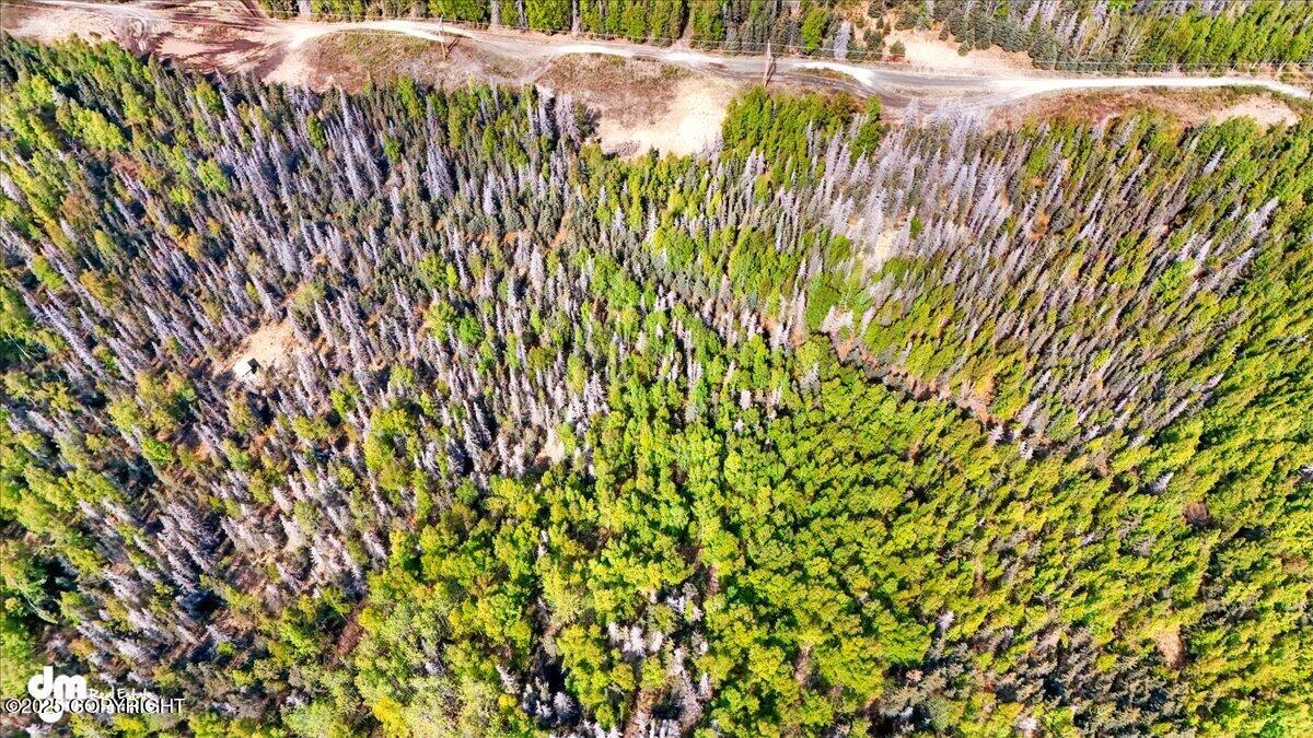L15 Moosetadon Drive, Sterling, Alaska image 4