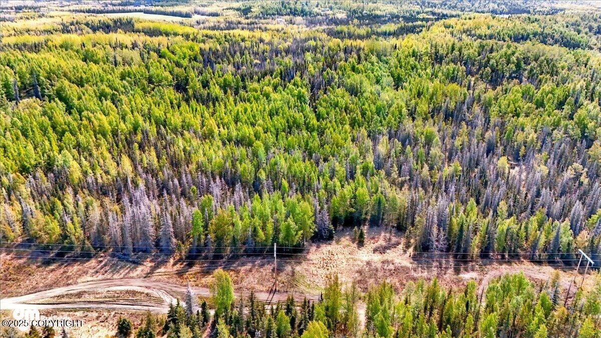 L15 Moosetadon Drive, Sterling, Alaska image 5