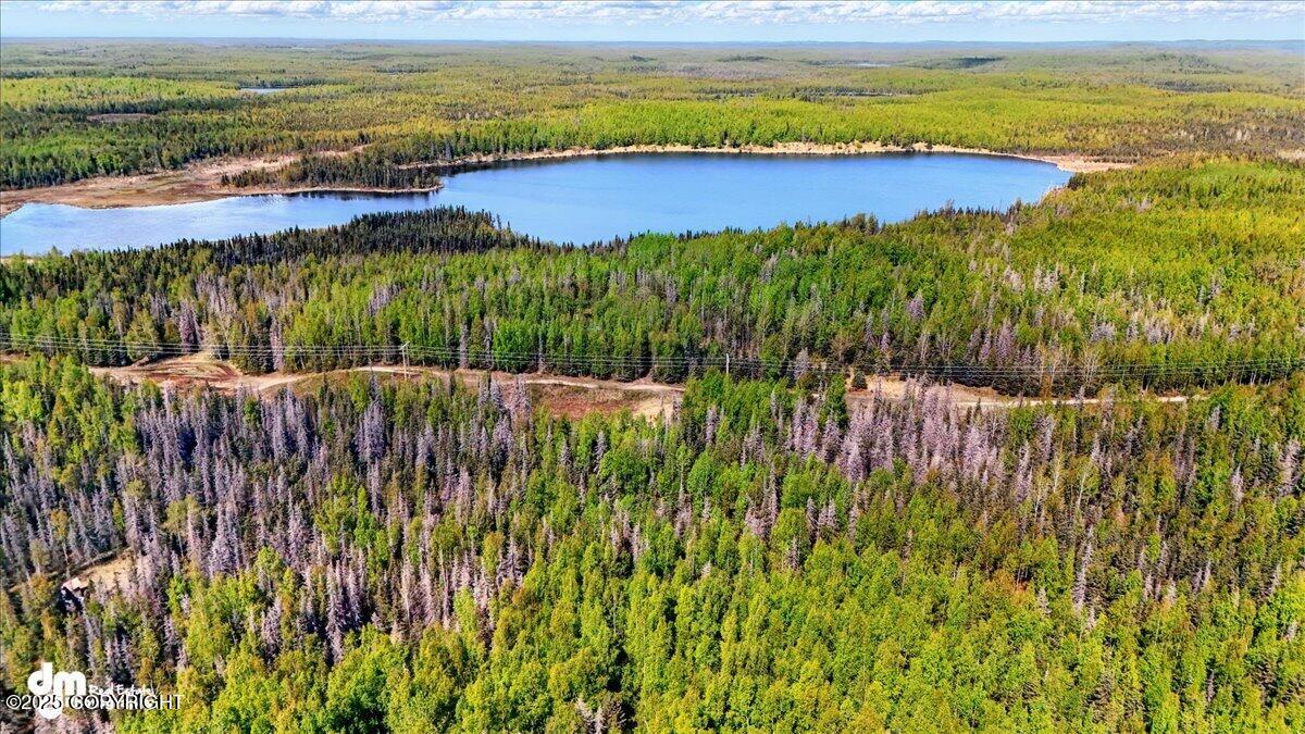 L15 Moosetadon Drive, Sterling, Alaska image 1