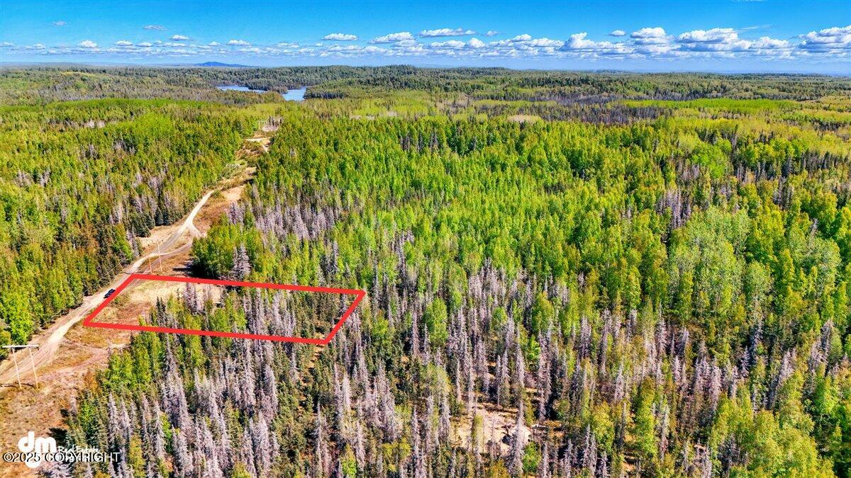 L15 Moosetadon Drive, Sterling, Alaska image 2