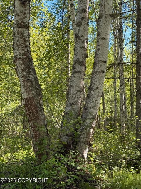 Vacant Land For Sale - 14002 E Front Street<br/> Talkeetna, AK 99676