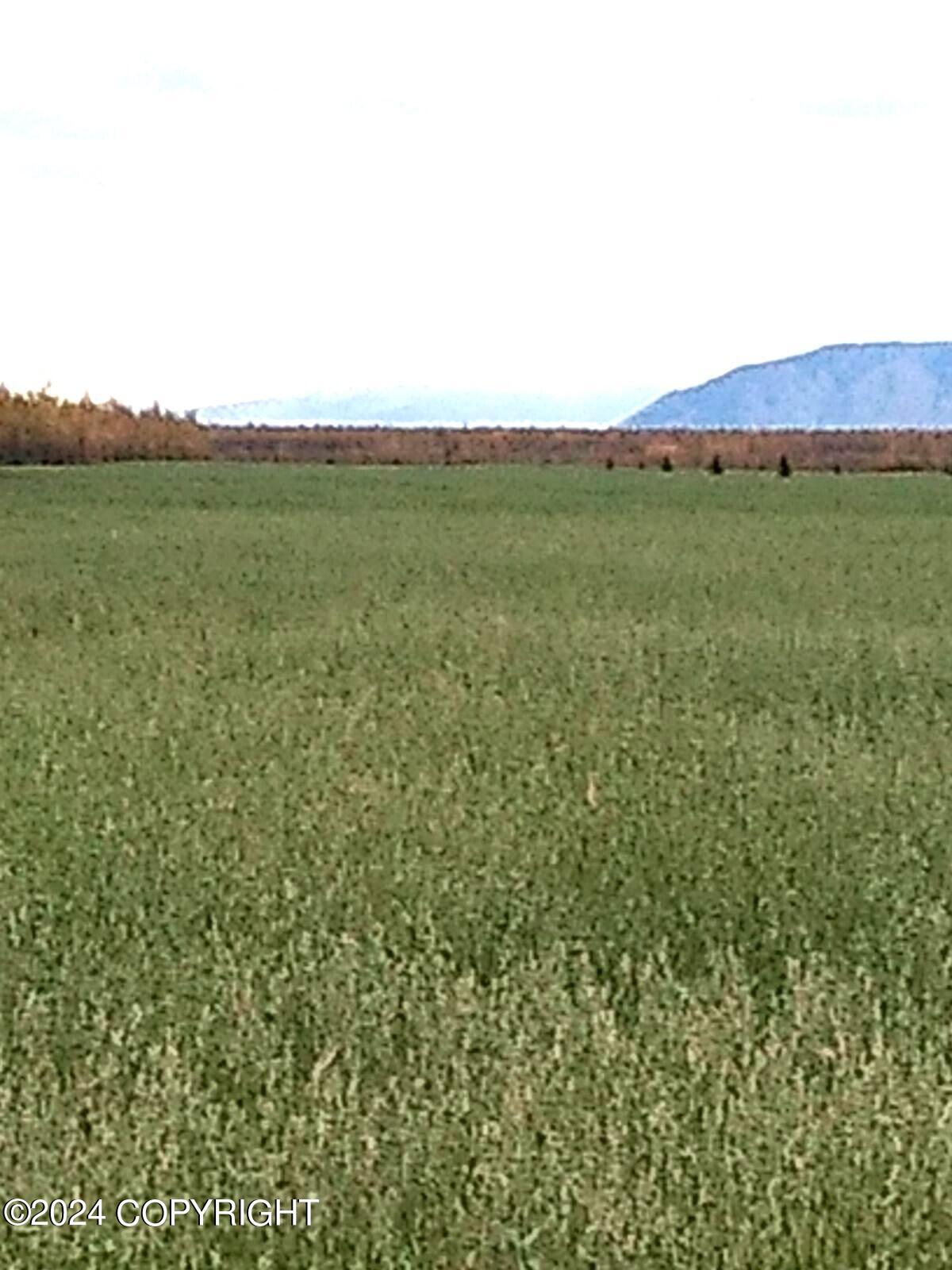 1403 Alaska Highway, Delta Junction, Alaska image 17