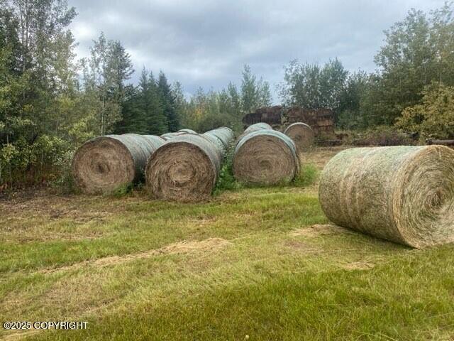 1403 Alaska Highway, Delta Junction, Alaska image 3