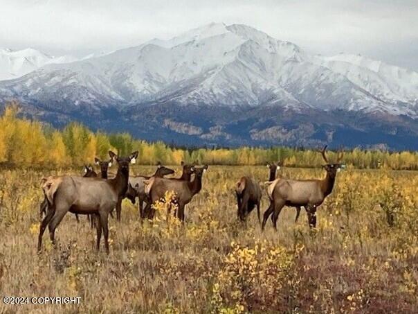 1403 Alaska Highway, Delta Junction, Alaska image 21