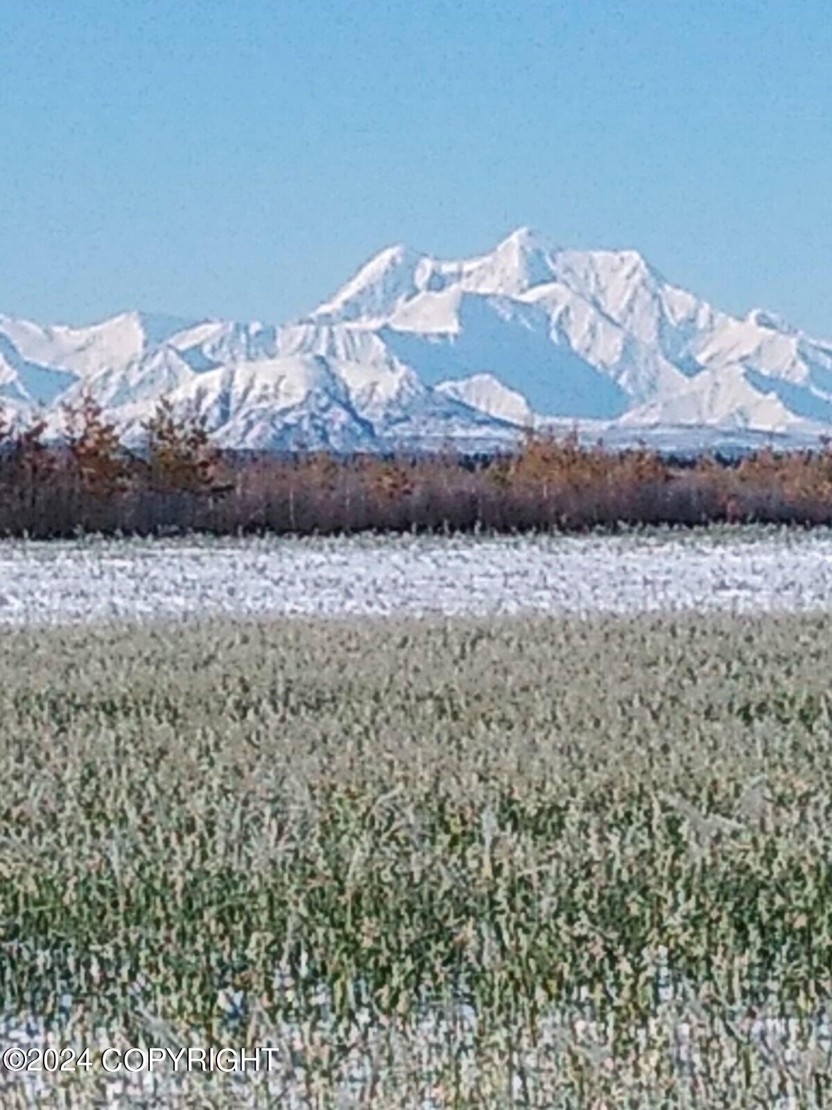 1403 Alaska Highway, Delta Junction, Alaska image 14