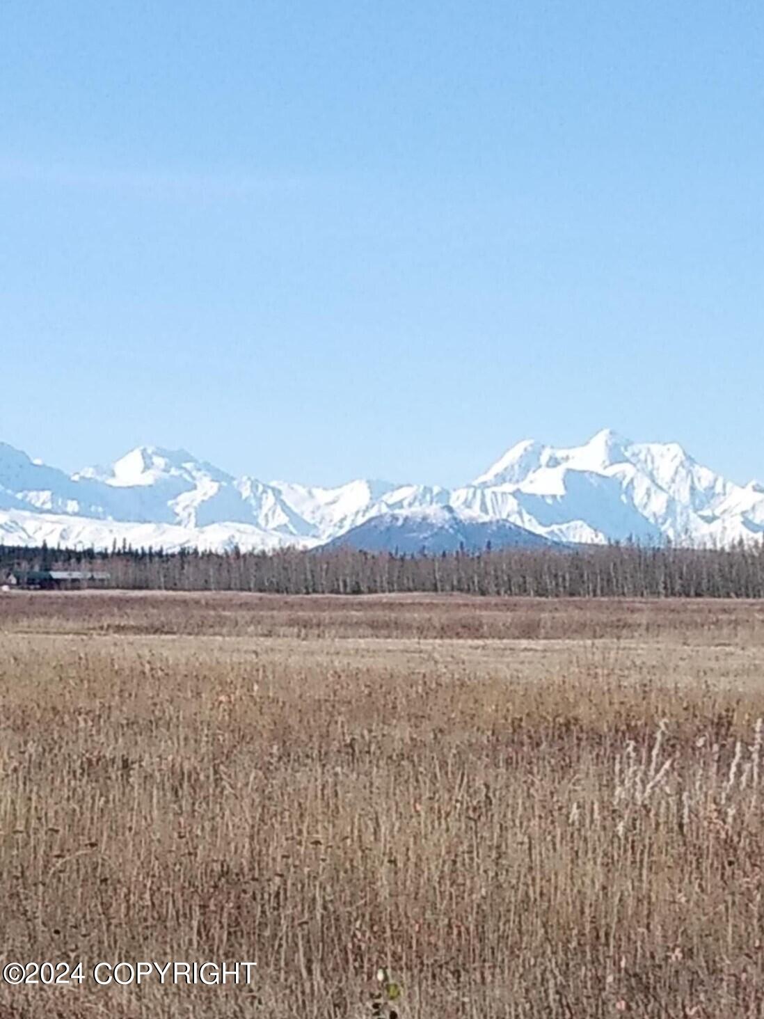 1403 Alaska Highway, Delta Junction, Alaska image 19