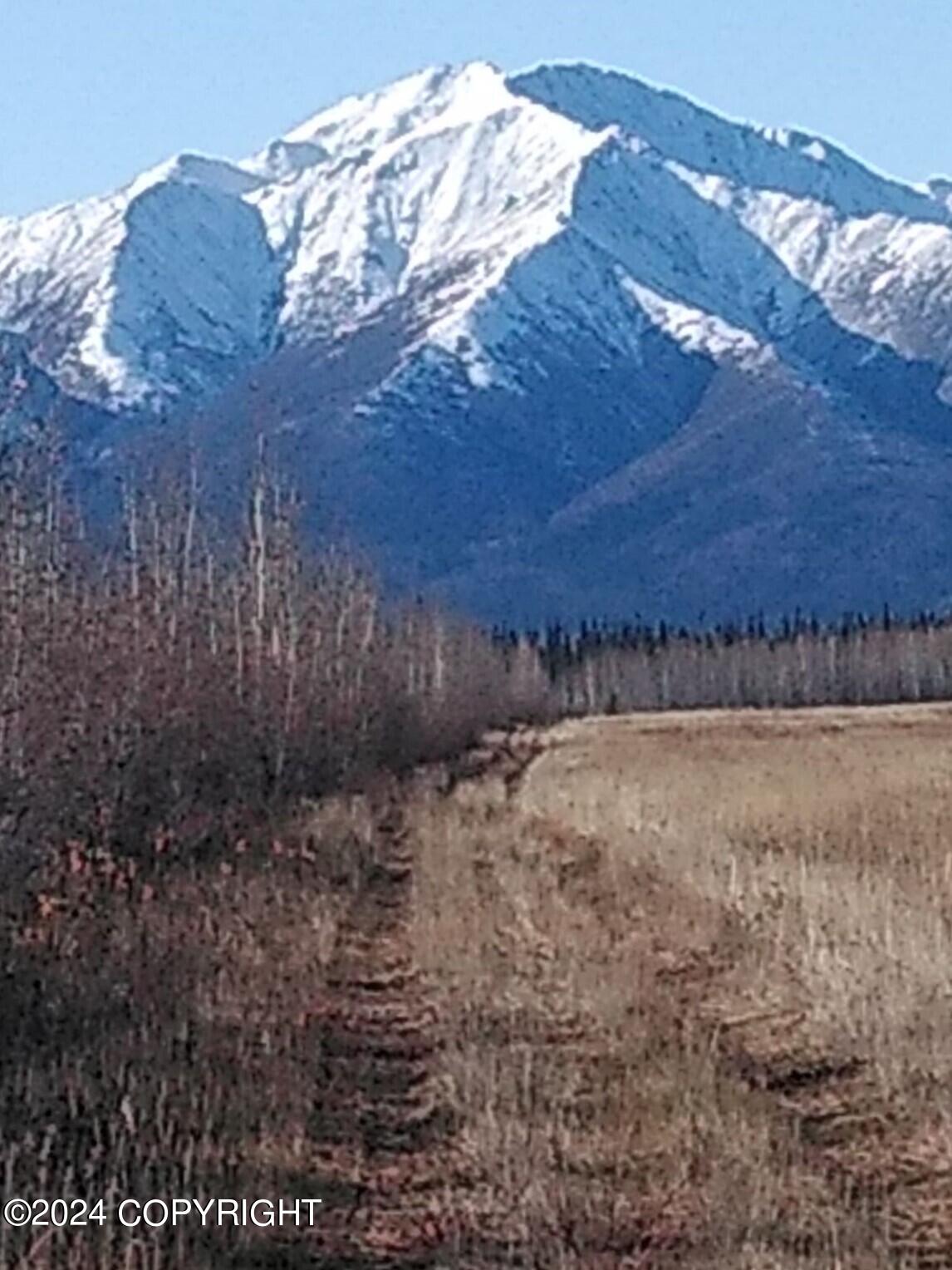 1403 Alaska Highway, Delta Junction, Alaska image 7