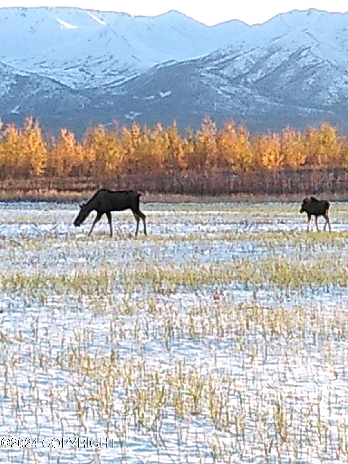 1403 Alaska Highway, Delta Junction, Alaska image 12