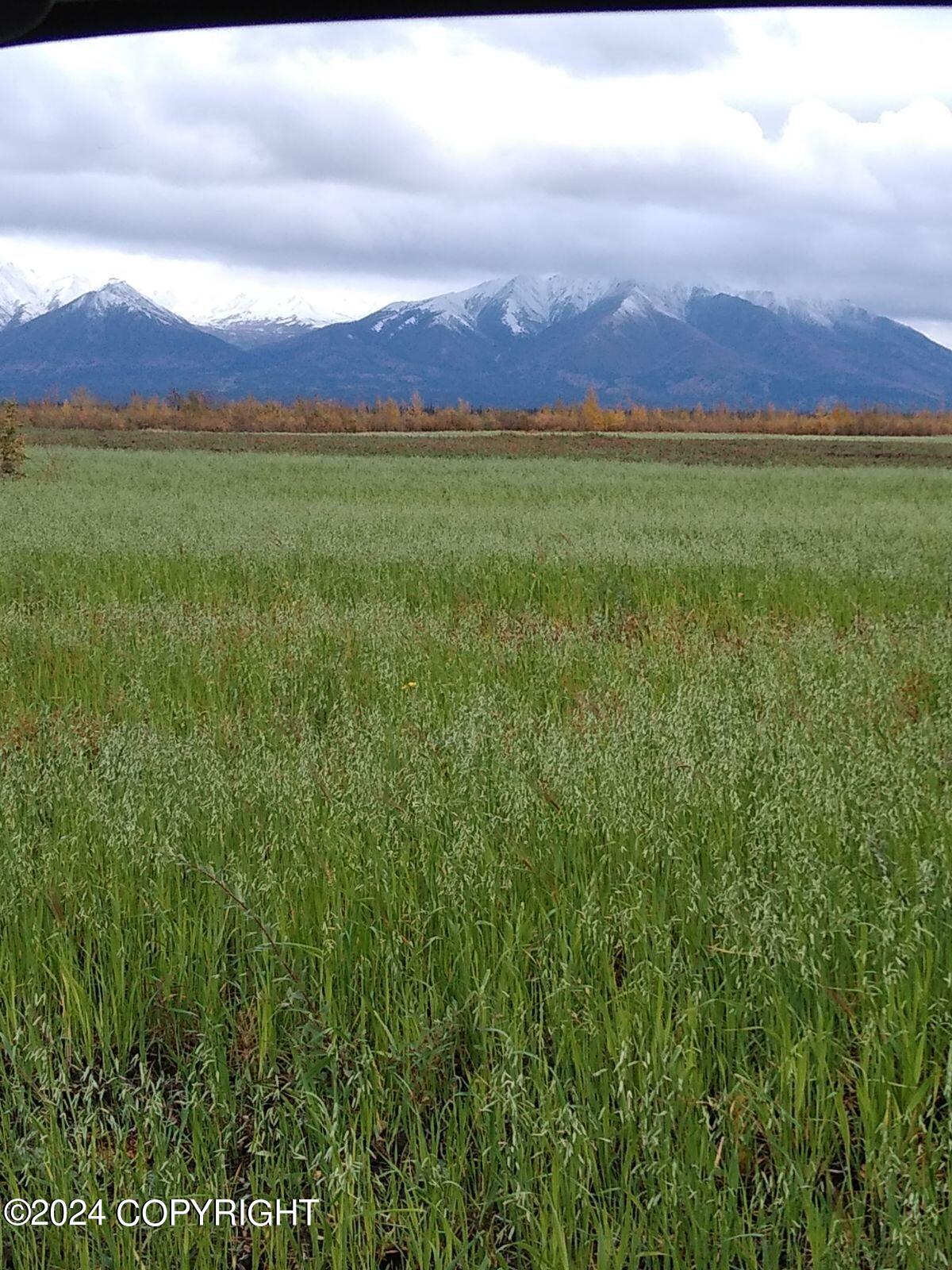 1403 Alaska Highway, Delta Junction, Alaska image 27