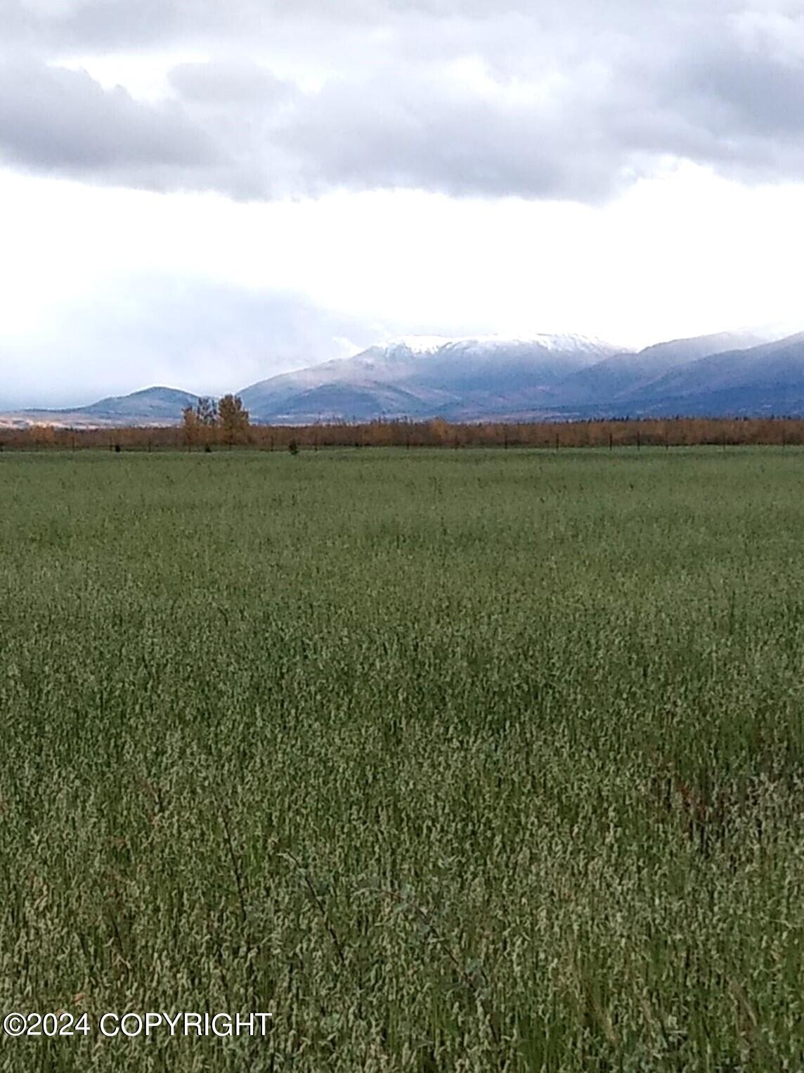 1403 Alaska Highway, Delta Junction, Alaska image 18
