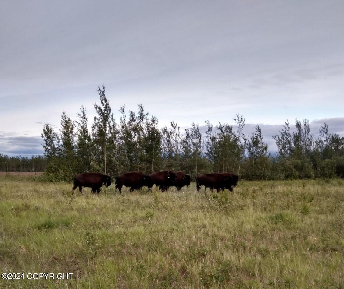 1403 Alaska Highway, Delta Junction, Alaska image 25