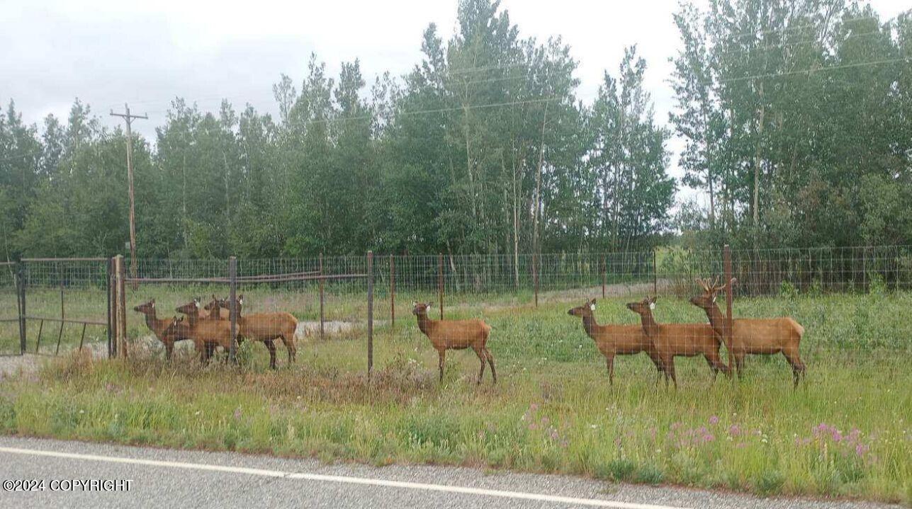 1403 Alaska Highway, Delta Junction, Alaska image 8