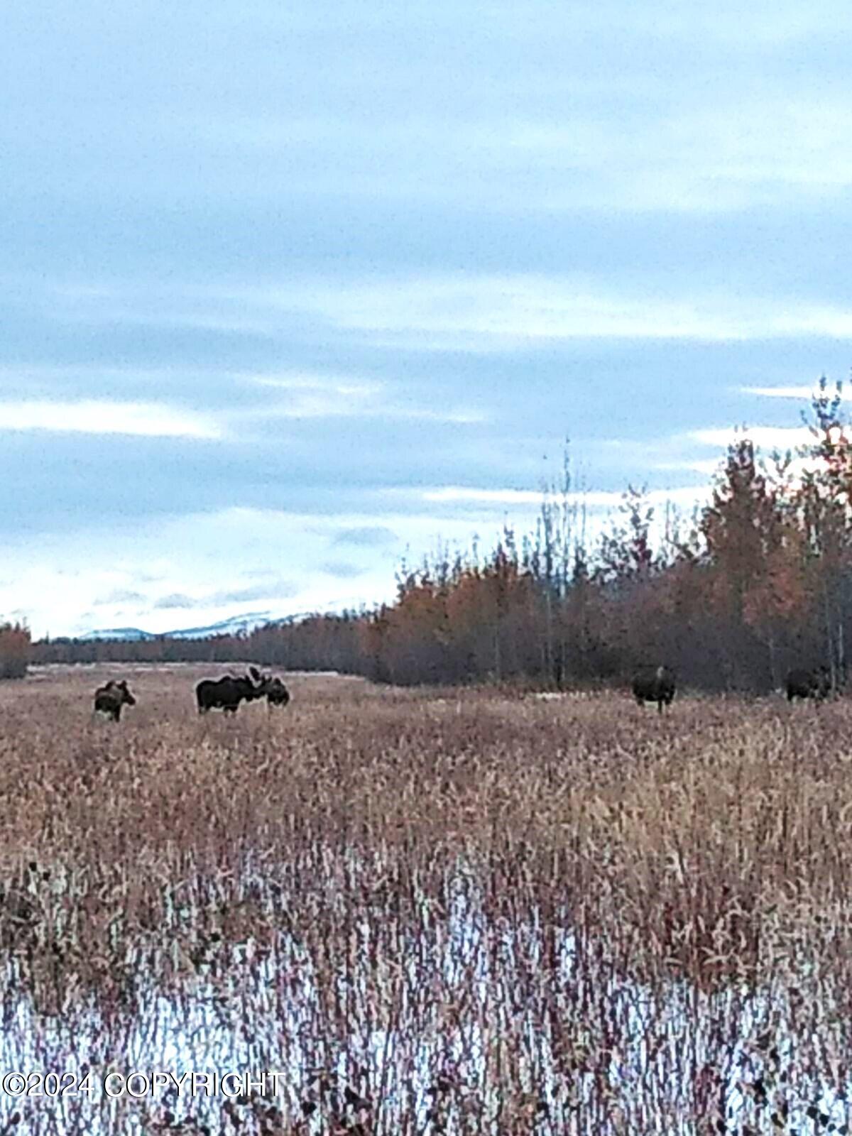 1403 Alaska Highway, Delta Junction, Alaska image 24