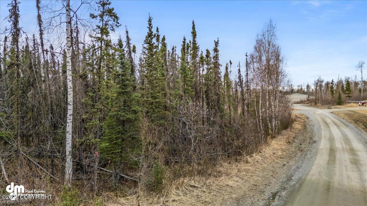 4300 S Eider Circle, Wasilla, Alaska image 3