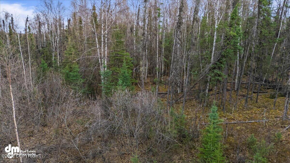 4300 S Eider Circle, Wasilla, Alaska image 9
