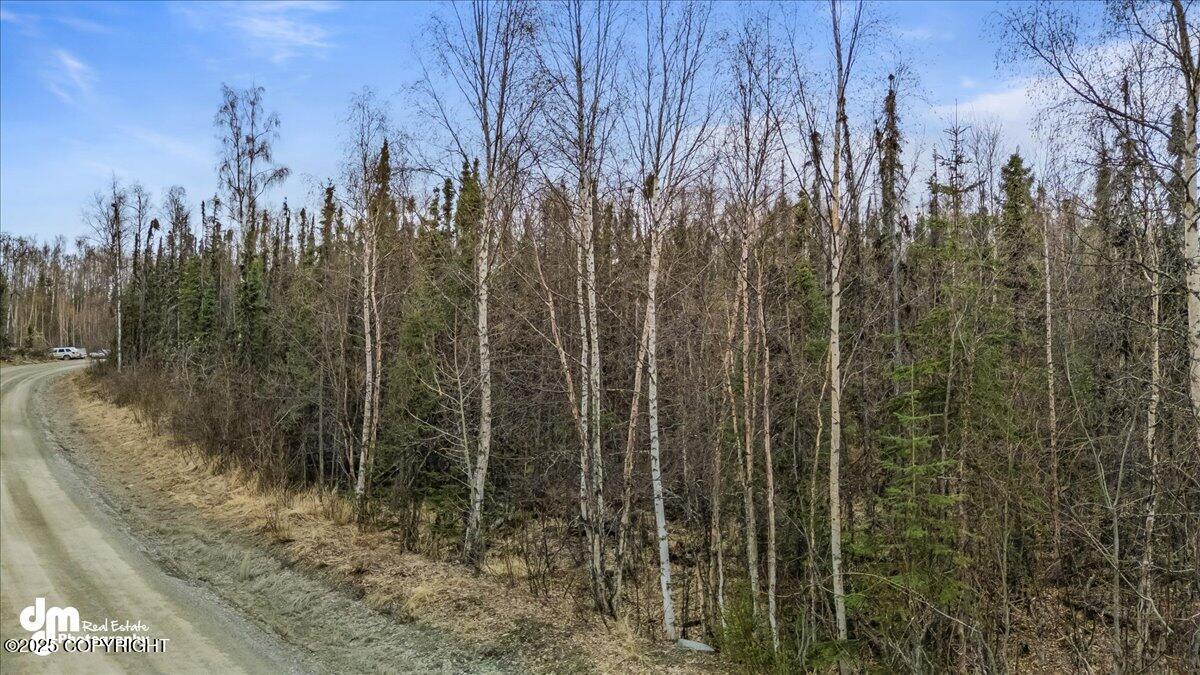 4300 S Eider Circle, Wasilla, Alaska image 8