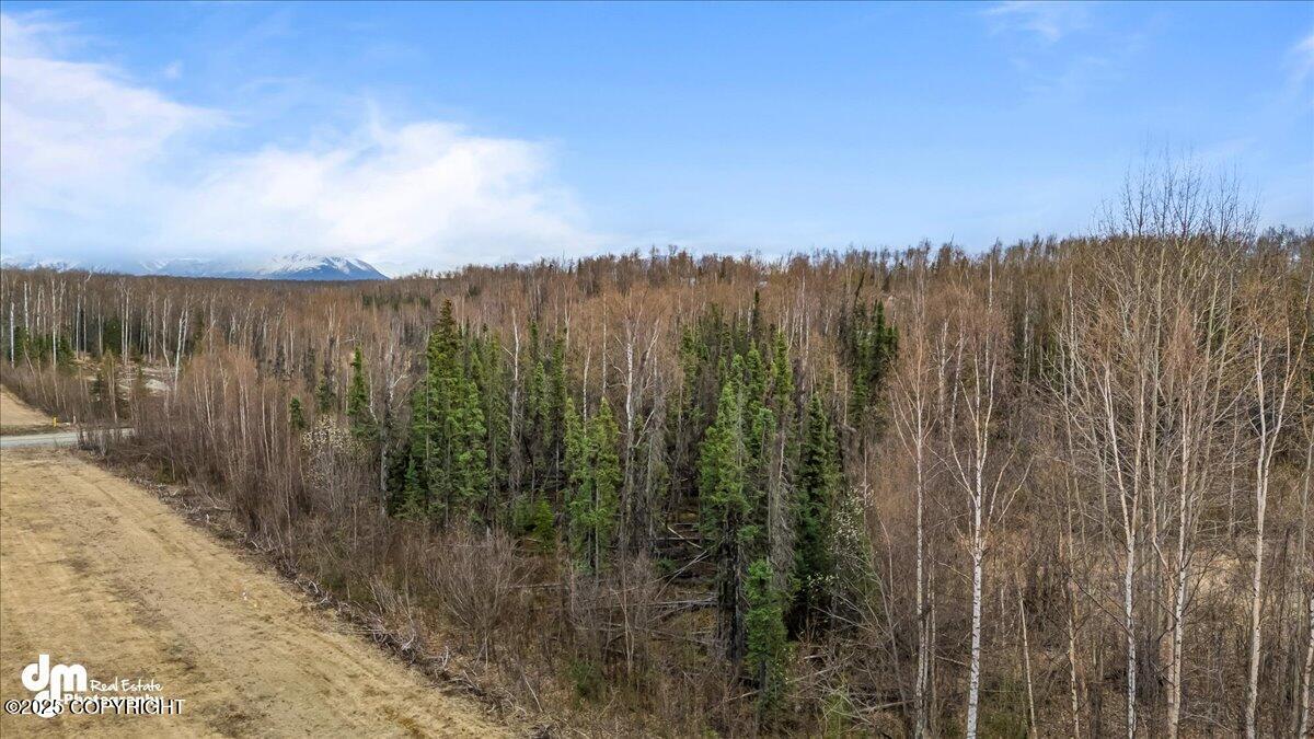 4300 S Eider Circle, Wasilla, Alaska image 11