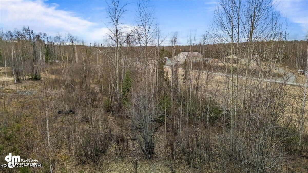 4300 S Eider Circle, Wasilla, Alaska image 12