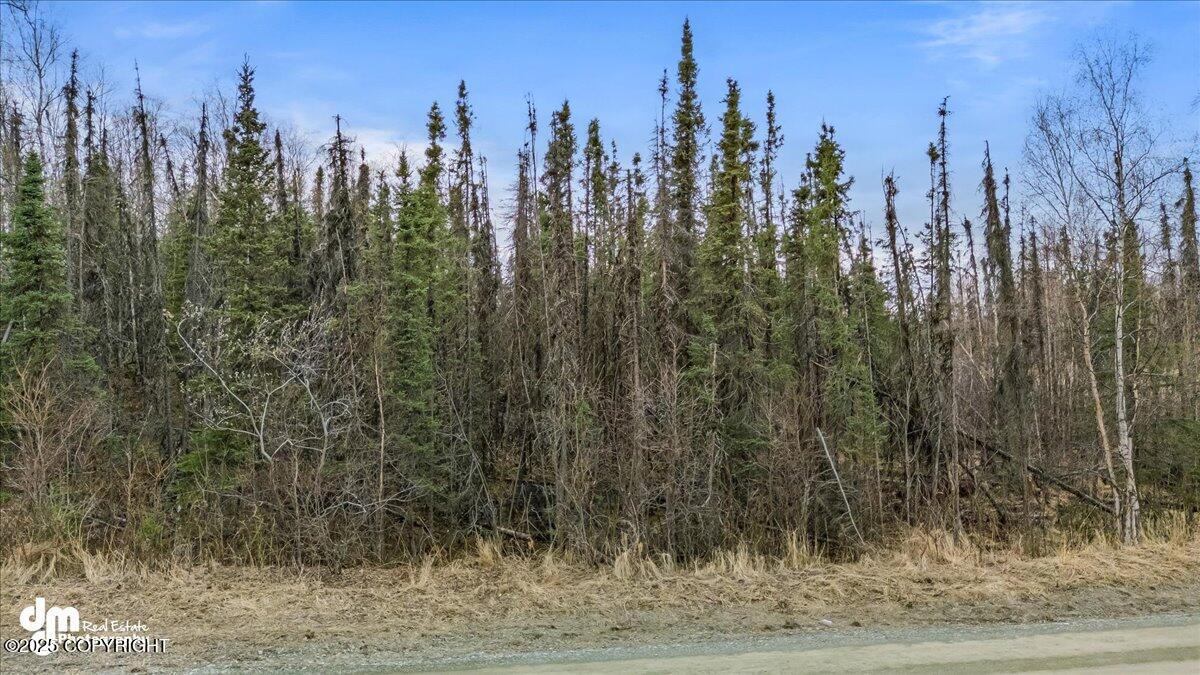 4300 S Eider Circle, Wasilla, Alaska image 10