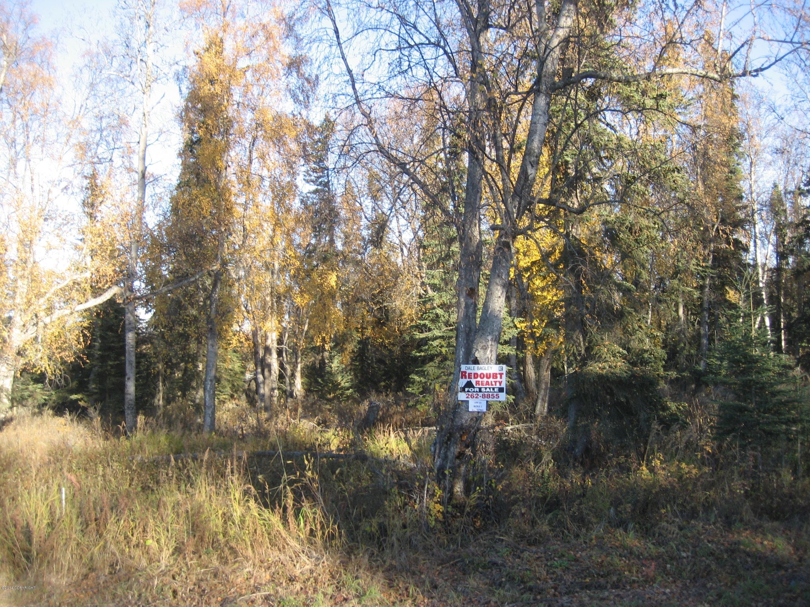 53835 Stol Road, Kasilof, Alaska image 1