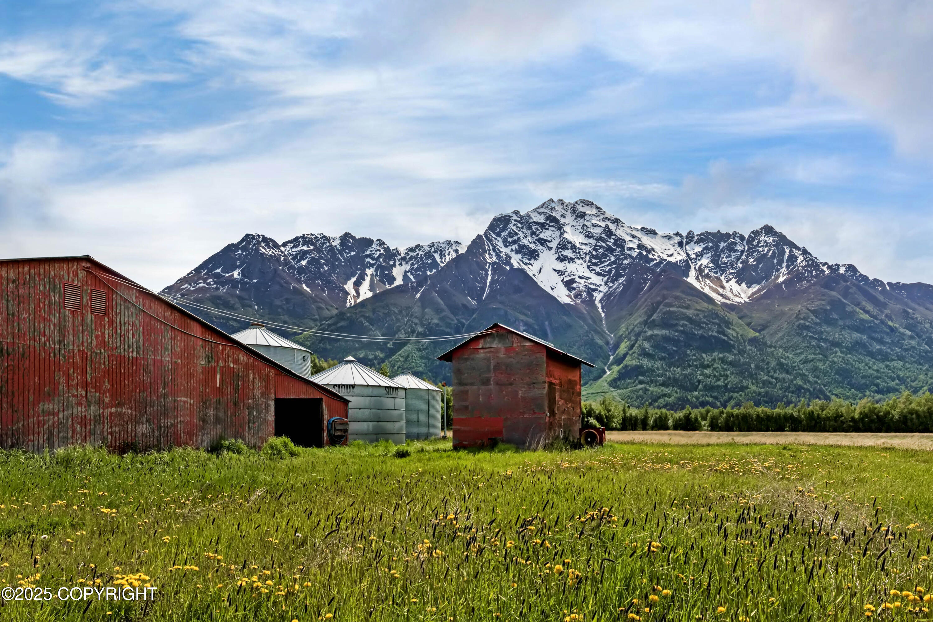 15555 E Our Spur Spur, Palmer, Alaska image 3