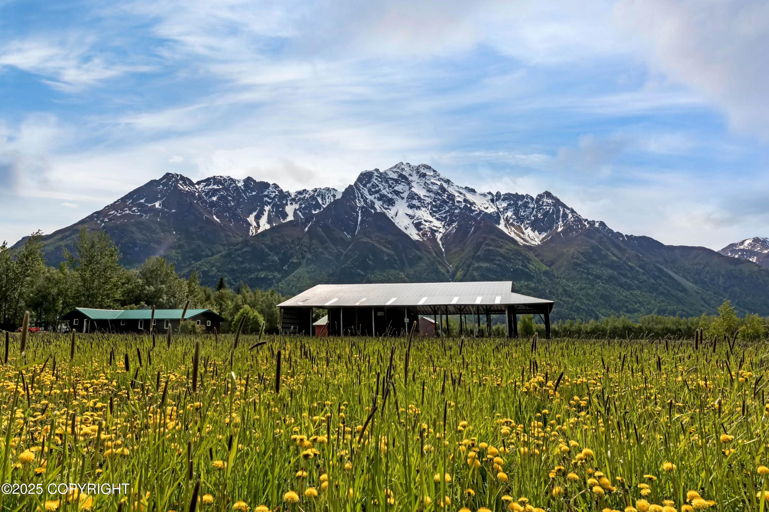 15555 E Our Spur Spur, Palmer, Alaska image 24