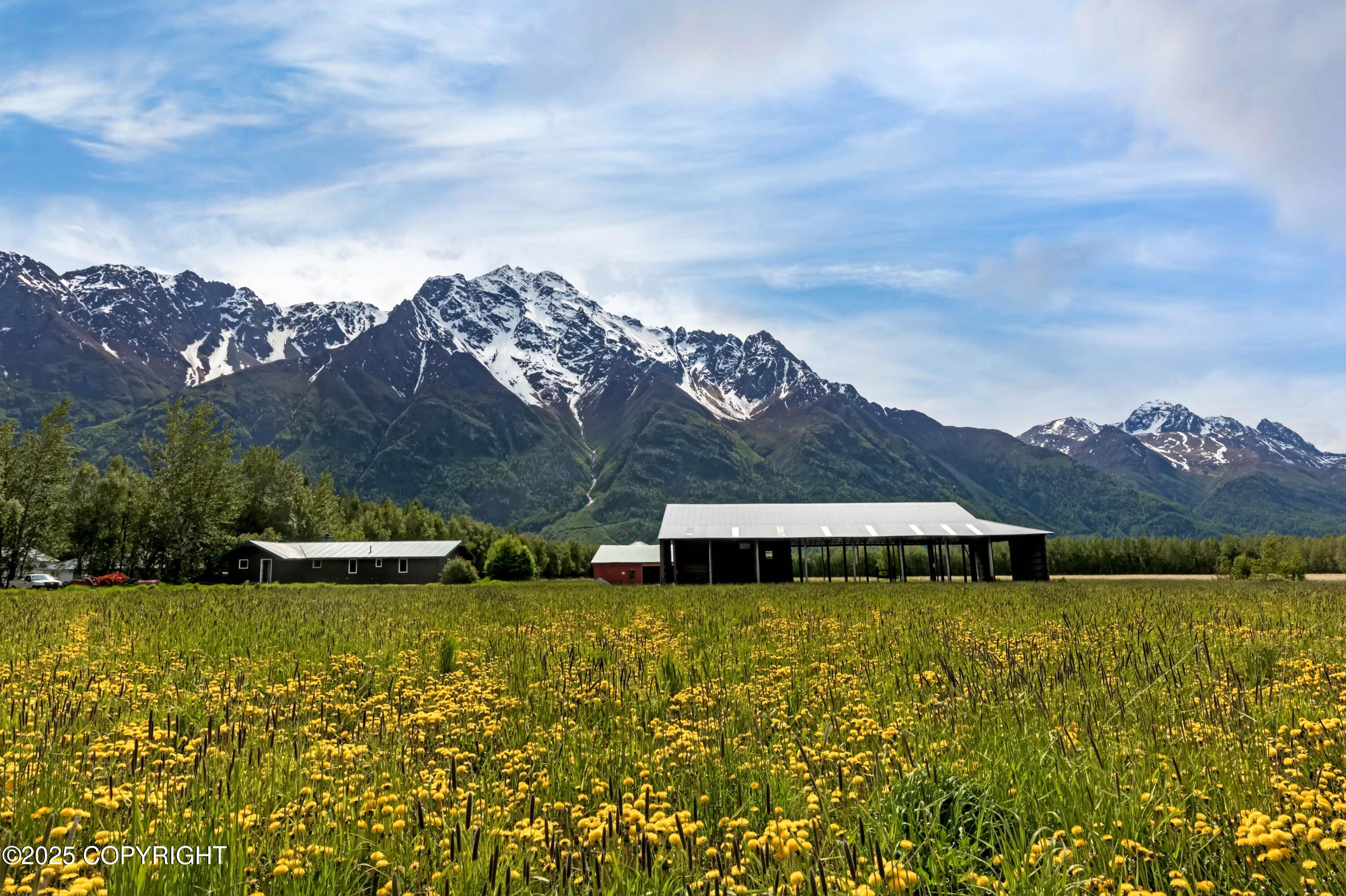 15555 E Our Spur Spur, Palmer, Alaska image 20