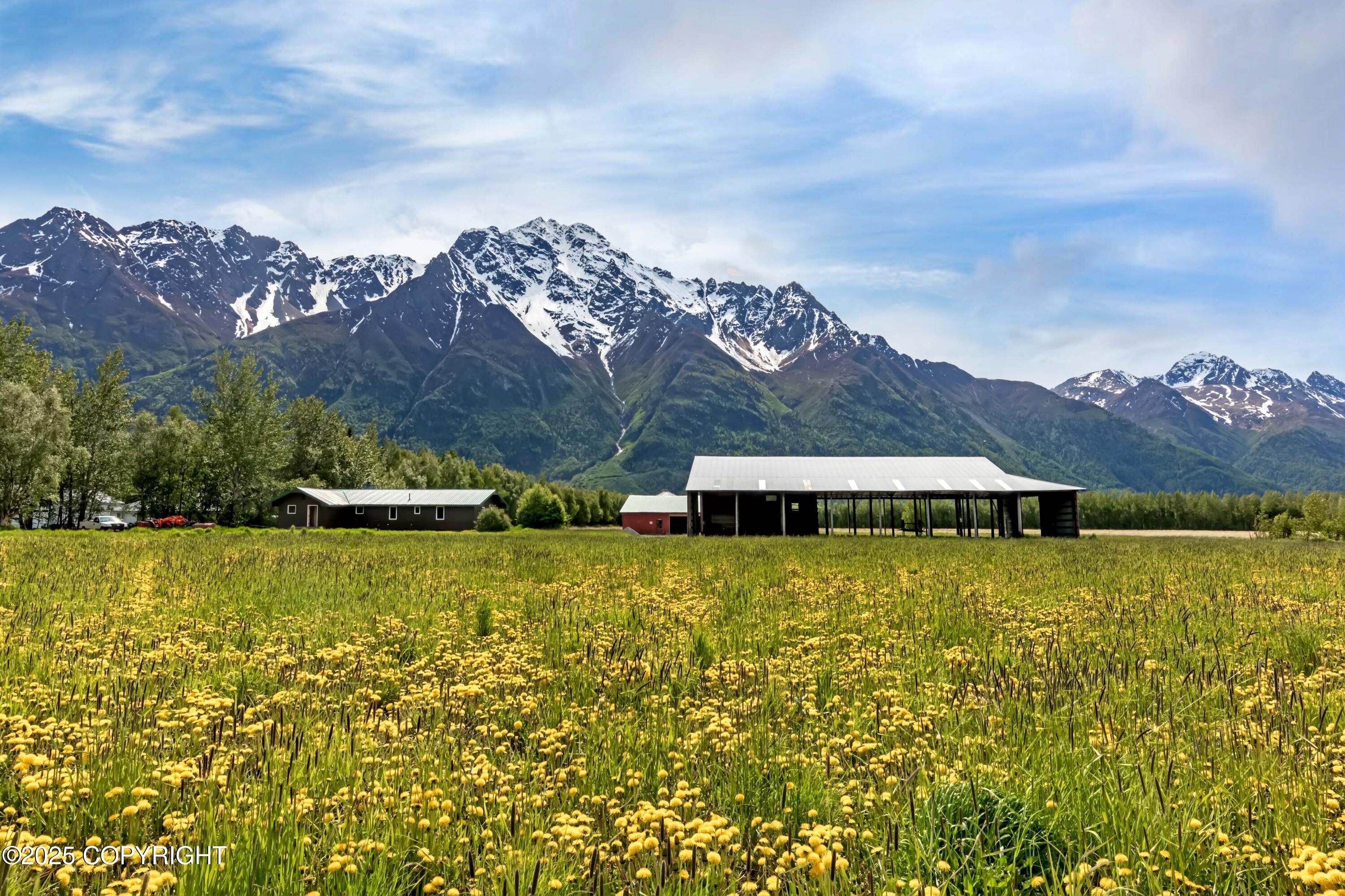 15555 E Our Spur Spur, Palmer, Alaska image 18