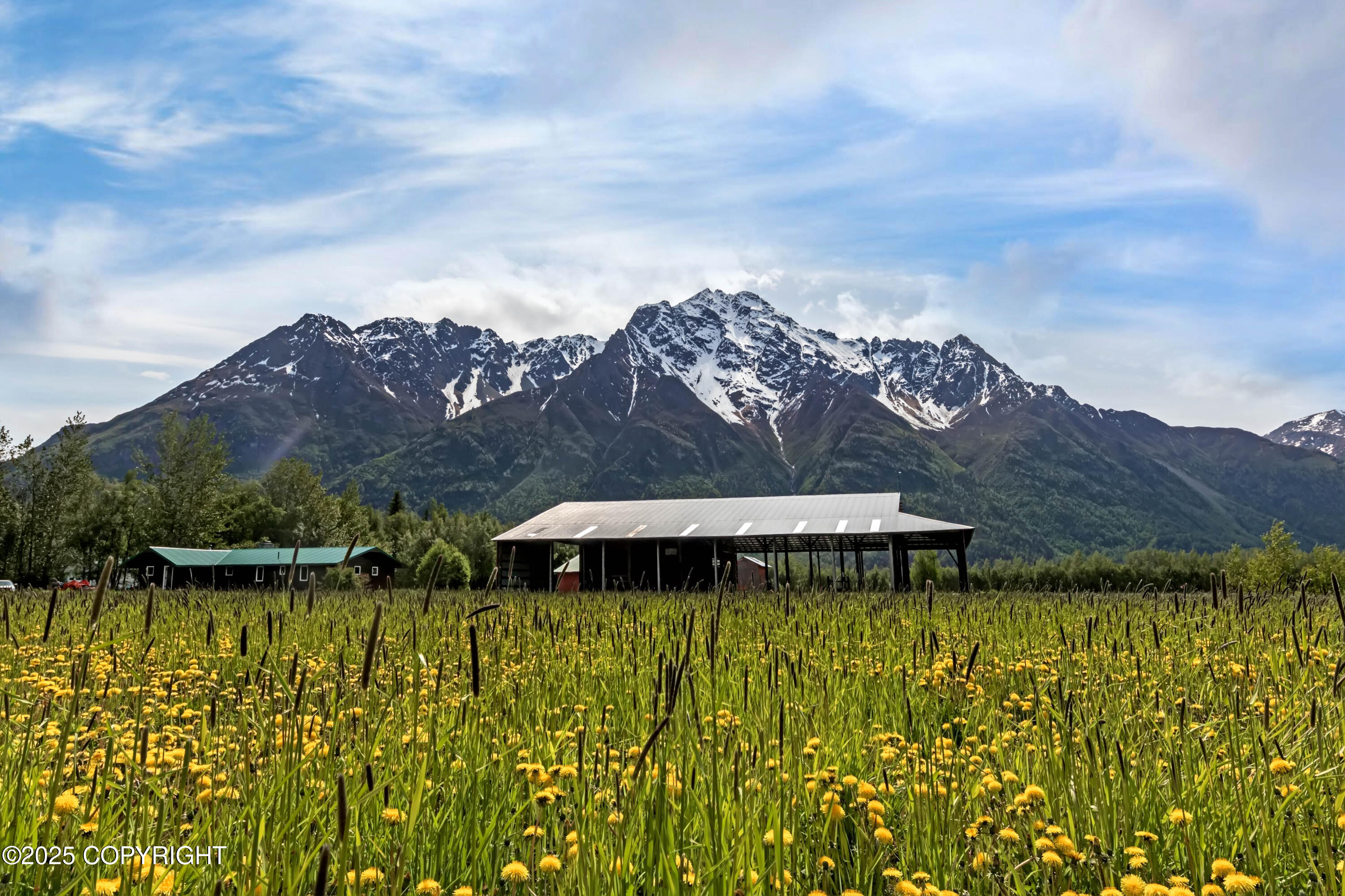 15555 E Our Spur Spur, Palmer, Alaska image 23