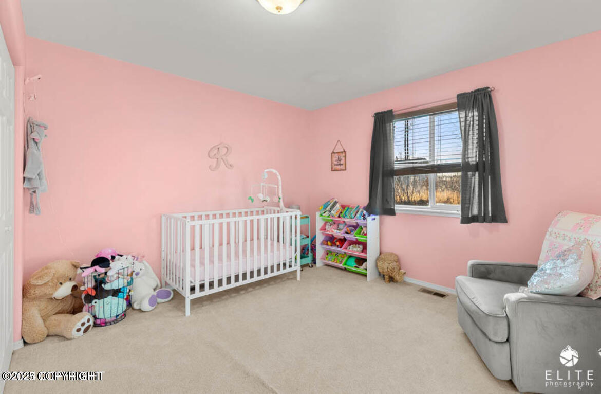 5159 W Conner Court, Wasilla, Alaska image 27