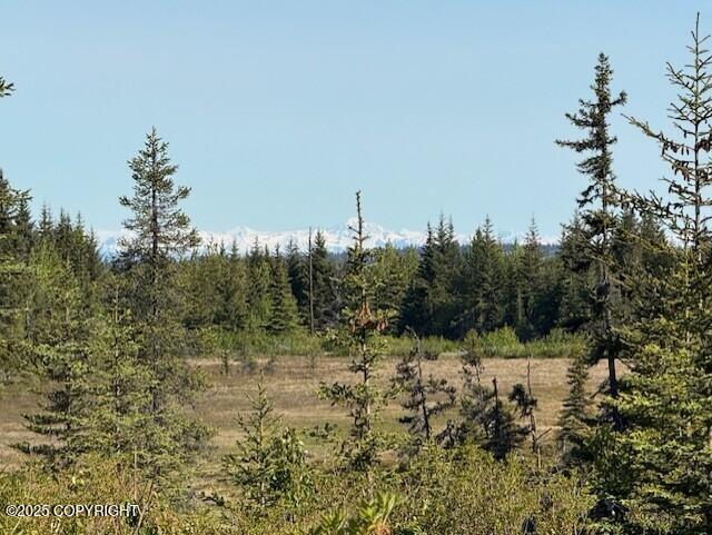 Anchor Point, Alaska 99556, United States, 1 Bedroom Bedrooms, ,1 BathroomBathrooms,Residential,Active,149385