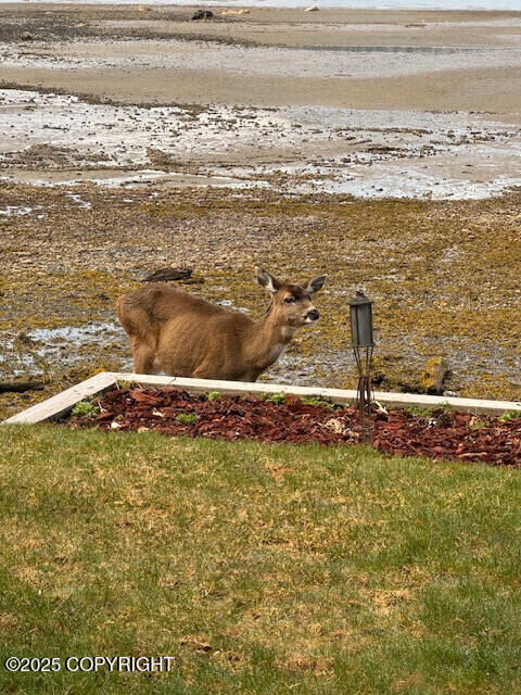 11.2MI Zimovia Highway, Wrangell, Alaska image 28