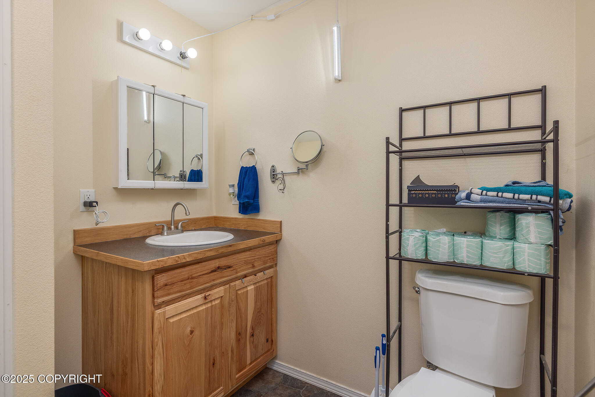 3586 N King Arthur Circle, Houston, Alaska image 14