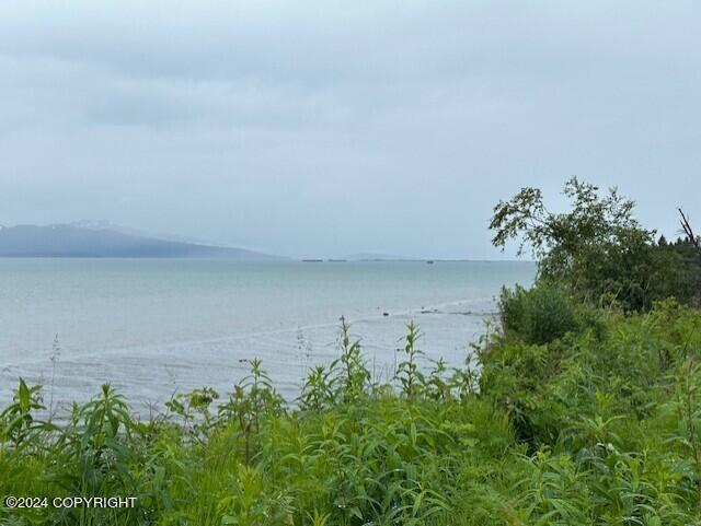 Homer, Alaska 99603, United States, ,Land,Active,54746