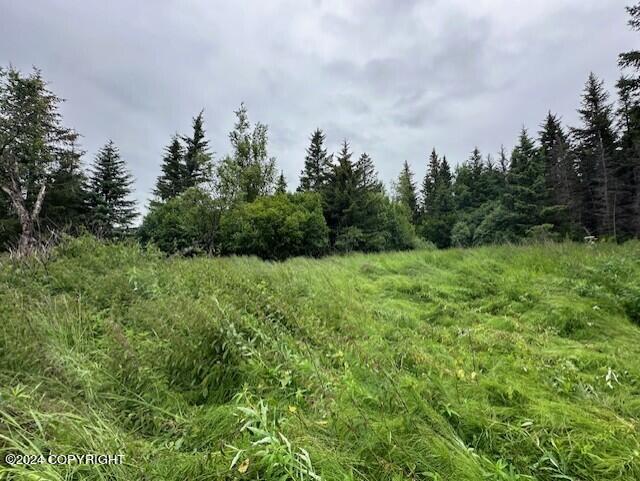 Homer, Alaska 99603, United States, ,Land,Active,54746