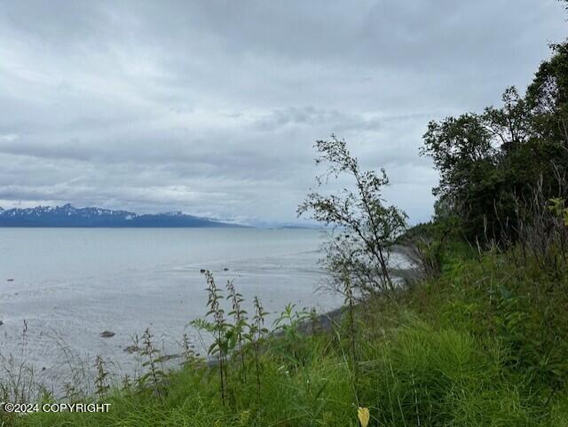 Homer, Alaska 99603, United States, ,Land,Active,54746